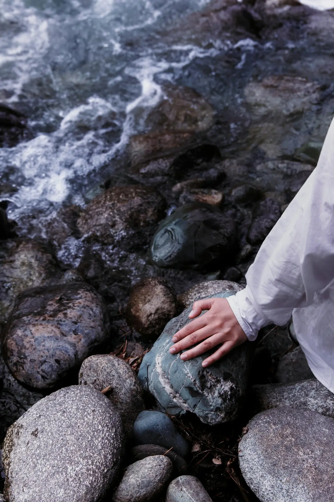 Pexels Molochkomolochko 134950729 12417321